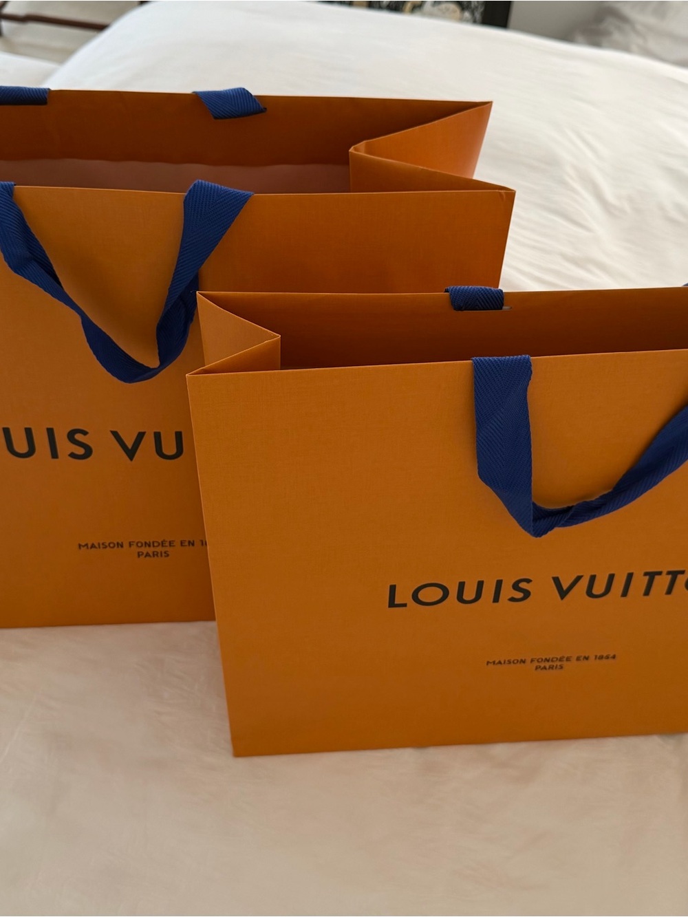 Men Bags Subcategory Identification - Picture 7 of 8